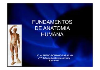 FUNDAMENTOS
DE ANATOMIA
HUMANA
LIC. ZARACHO ALFREDO
LIC. ALFREDO DOMINGO ZARACHO
JTP Catedra Anatomia normal y
funcional.
HUMANA
 