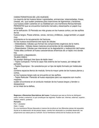 CARACTERISTICAS DE LOS HUESOS:
La mayoría de los huesos tienen rugosidades, eminencias, tuberosidades, líneas,
crestas, etc. que suelen prestarse para inserciones de ligamentos y tendones.
Los huesos están cubiertos en su totalidad por una membrana fibrosa llamada
PERIOSTIO que se encuentra ricamente inervado y desempeña un papel muy
importante
en la osificación. El Periostio es más grueso en los huesos cortos y en las epífisis
de los
huesos largos. Posee arterias, venas, nervios y linfáticos. Juega también un papel
muy
importante en la recuperación de fracturas.
En los huesos encontramos tres tipos de células:
- Osteoblastos: Células que forman los componentes orgánicos de la matriz.
- Osteocitos : Células óseas maduras provenientes de los osteoblastos.
- Osteoclastos: Células que intervienen en la degradación y reabsorción del hueso.
Todas ellas confieren al hueso características dinámicas de un tejido vivo donde
hay
renovación y degradación.
TEJIDO ÓSEO:
Se pueden distinguir tres tipos de tejido óseo:
- Tejido Compacto: Forma la capa más externa de los huesos, por debajo del
periostio.
- Tejido Esponjoso : Se caracteriza por un tipo de tejido formado por trabéculas
que
contiene espacios llenos de medula, forma la mayor parte de los huesos planos y
cortos,
en los huesoso largos solo se encuentra en las epífisis.
- Tejido Reticular: Parecido al hueso esponjoso pero sus espacios son mucho
mayores,
suelen encontrarse en el conducto medular de los huesos largos y tienden a
desaparecer
en la mitad de la diáfisis.
Regiones o Elementos Descriptivos del hueso: Cualquiera que sea su forma se distinguen:
caras, bordes y extremos, lo que constituyen las regiones. Pueden ser: internas, externas, superior,
inferior, anterior, posterior.
Periostio:
Peri = alrededor
Ostio = hueso
Es una membrana fibrosa dispuesta a manera de envoltura en las diferentes piezas del esqueleto.
Ayuda en la elaboración de las piezas óseas, cuando han alcanzado su complete desarrollo, les
proporciona sus vasos para su nutrición. Es la membrana nutricia de los huesos (es de color
 
