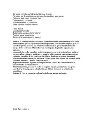 Se ubica entre las vertebras lumbares y el coxis
Formado por 5 vertebras que se unen formando un solo hueso
Pirámide de 4 caras 1 anterior lisa
Cara posterior convexa
2 caras laterales iz y derecha
Base superior y vértice inferior
Parte media
Cuesta sacra media
Tuberculos sacro posterior interior
Agujero sacro posteriores
Tuberculos sacro posterior externo
El sacro se compone de cinco vértebras sacras modificadas y fusionadas y sirve como
una base firme para la fijación del cinturón pelviano Tiene forma triangular, y en su
superficie pélvica cóncava hay cuatro líneas transversas que indican la unión del
cuerpo de las vértebras. Ahí se observan cuatro pares de grandes agujeros, los
agujeros
sacros anteriores. La superficie posterior es convexa y a lo largo de su línea media se
encuentra la cresta sacra media y tres o cuatro tubérculos que representan procesos
espinosos reducidos de las vértebras. En el lugar donde no se forman láminas ni
procesos espinosos, queda una abertura, el hiato sacro. Esto sucede, por ejemplo, en la
región de las cuarta y quinta vértebras sacras.
Se pueden ver cuatro agujeros sacros posteriores, y cerca del vértice del sacro se
encuentran los cuernos del sacro.
Visto lateralmente, el sacro es ancho en su parte superior, donde tiene una gran
superficie articular para su articulación con el ilion, formando la articulación
sacroilíaca.
Inferior de éste, se reduce su anchura hasta formar apenas un borde.
Coxis 4 a 5 vertebras
 