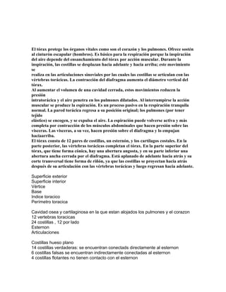 El tórax protege los órganos vitales como son el corazón y los pulmones. Ofrece sostén
al cinturón escapular (hombros). Es básico para la respiración porque la inspiración
del aire depende del ensanchamiento del tórax por acción muscular. Durante la
inspiración, las costillas se desplazan hacia adelante y hacia arriba; este movimiento
se
realiza en las articulaciones sinoviales por las cuales las costillas se articulan con las
vértebras torácicas. La contracción del diafragma aumenta el diámetro vertical del
tórax.
Al aumentar el volumen de una cavidad cerrada, estos movimientos reducen la
presión
intratorácica y el aire penetra en los pulmones dilatados. Al interrumpirse la acción
muscular se produce la espiración. Es un proceso pasivo en la respiración tranquila
normal. La pared torácica regresa a su posición original; los pulmones (por tener
tejido
elástico) se encogen, y se expulsa el aire. La espiración puede volverse activa y más
completa por contracción de los músculos abdominales que hacen presión sobre las
visceras. Las visceras, a su vez, hacen presión sobre el diafragma y lo empujan
haciaarriba.
El tórax consta de 12 pares de costillas, un esternón, y los cartílagos costales. En la
parte posterior, las vértebras torácicas completan el tórax. En la parte superior del
tórax, que tiene forma cónica, hay una abertura angosta, y en su parte inferior una
abertura ancha cerrada por el diafragma. Está aplanado de adelante hacia atrás y su
corte transversal tiene forma de riñón, ya que las costillas se proyectan hacia atrás
después de su articulación con las vértebras torácicas y luego regresan hacia adelante.
Superficie exterior
Superficie interior
Vértice
Base
Indice toracico
Perímetro toracica
Cavidad osea y cartilaginosa en la que estan alojados los pulmones y el corazon
12 vertebras toracicas
24 costillas , 12 por lado
Esternon
Articulaciones
Costillas hueso plano
14 costillas verdaderas: se encuentran conectads directamente al esternon
6 costillas falsas se encuentran indirectamente conectadas al esternon
4 costillas flotantes no tienen contacto con el esternon
 