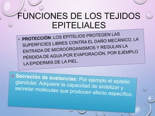 FUNCIONES DE LOS TEJIDOS
EPITELIALES
 