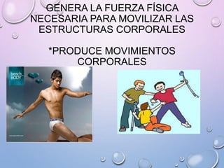 GENERA LA FUERZA FÍSICA
NECESARIA PARA MOVILIZAR LAS
ESTRUCTURAS CORPORALES
*PRODUCE MOVIMIENTOS
CORPORALES
 