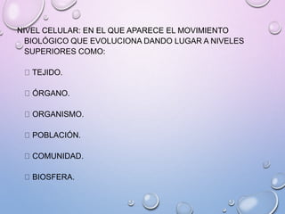 NIVEL CELULAR: EN EL QUE APARECE EL MOVIMIENTO
BIOLÓGICO QUE EVOLUCIONA DANDO LUGAR A NIVELES
SUPERIORES COMO:
TEJIDO.
ÓRGANO.
ORGANISMO.
POBLACIÓN.
COMUNIDAD.
BIOSFERA.
 