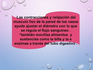 *Las contracciones y relajación del
musculo liso de la pared de los vasos
ayuda ajustar el diámetro con lo que
se regula el flujo sanguíneo .
*también moviliza alimentos y
sustancias como la bilis y la s
enzimas a través del tubo digestivo .
 
