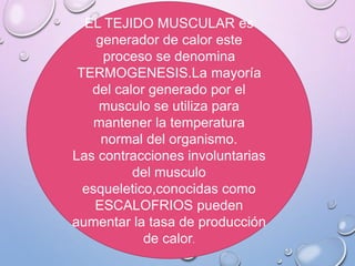EL TEJIDO MUSCULAR es
generador de calor este
proceso se denomina
TERMOGENESIS.La mayoría
del calor generado por el
musculo se utiliza para
mantener la temperatura
normal del organismo.
Las contracciones involuntarias
del musculo
esqueletico,conocidas como
ESCALOFRIOS pueden
aumentar la tasa de producción
de calor.
 