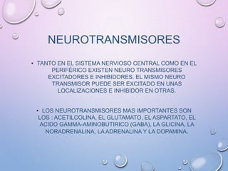 NEUROTRANSMISORES
• TANTO EN EL SISTEMA NERVIOSO CENTRAL COMO EN EL
PERIFÉRICO EXISTEN NEURO TRANSMISORES
EXCITADORES E INHIBIDORES. EL MISMO NEURO
TRANSMISOR PUEDE SER EXCITADO EN UNAS
LOCALIZACIONES E INHIBIDOR EN OTRAS.
• LOS NEUROTRANSMISORES MAS IMPORTANTES SON
LOS : ACETILCOLINA, EL GLUTAMATO, EL ASPARTATO, EL
ACIDO GAMMA-AMINOBUTIRICO (GABA), LA GLICINA, LA
NORADRENALINA, LA ADRENALINA Y LA DOPAMINA.
 