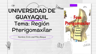 UNIVERSIDAD DE
GUAYAQUIL
Tema: Región
Pterigomaxilar
Nombre: Erick Joel Pilco Baque
 