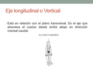 Eje longitudinal o Vertical:
• Está en relación con el plano transversal. Es el eje que
atraviesa el cuerpo desde arriba abajo en dirección
craneal‐caudal.
 