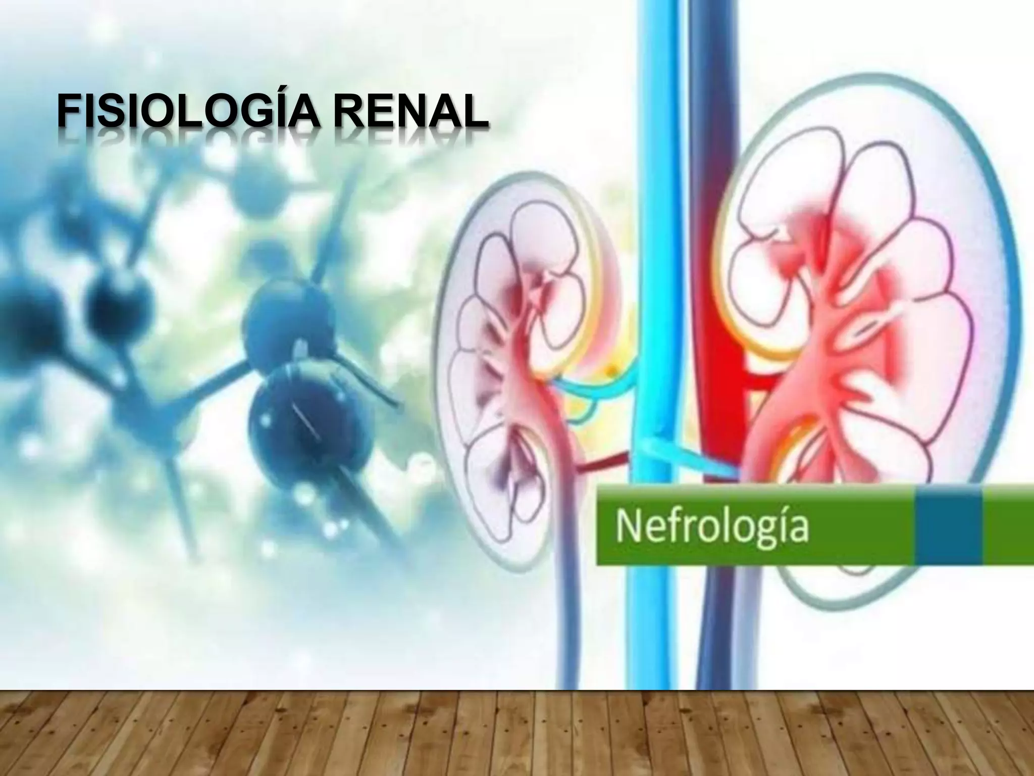FISIOLOGÍA RENAL
 