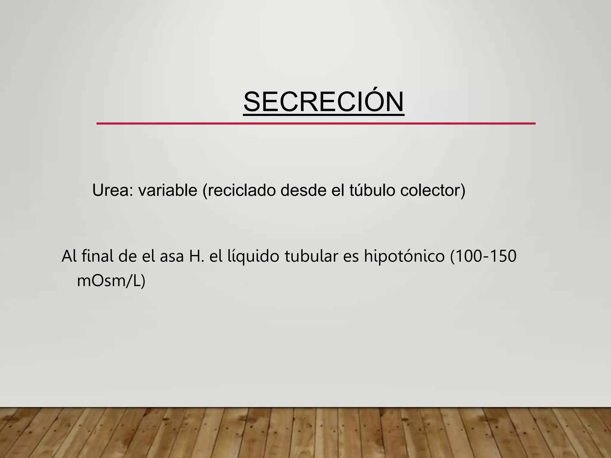 Urea: variable (reciclado desde el túbulo colector)
Al final de el asa H. el líquido tubular es hipotónico (100-150
mOsm/L)
SECRECIÓN
 