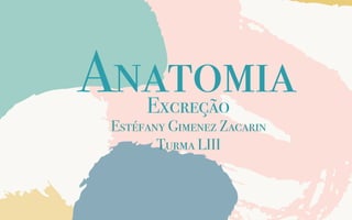 Anatomia
Excreção
Estéfany Gimenez Zacarin
Turma LIII
 