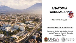 JESUS JORGE COTRADO ACERO
Residente de 1er Año de Cardiología
Hospital Regional Honorio Delgado
Arequipa - Perú.
ANATOMIA
CARDIACA 1:
Noviembre de 2023
 