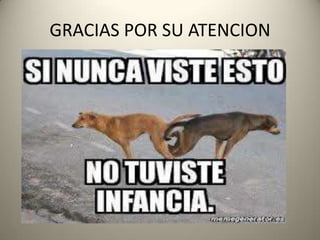 GRACIAS POR SU ATENCION
 