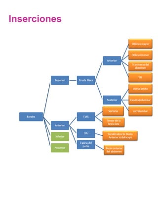 Inserciones