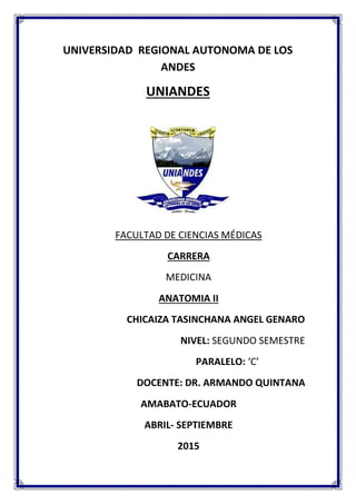 UNIVERSIDAD REGIONAL AUTONOMA DE LOS
ANDES
UNIANDES
FACULTAD DE CIENCIAS MÉDICAS
CARRERA
MEDICINA
ANATOMIA II
CHICAIZA TASINCHANA ANGEL GENARO
NIVEL: SEGUNDO SEMESTRE
PARALELO: ‘C’
DOCENTE: DR. ARMANDO QUINTANA
AMABATO-ECUADOR
ABRIL- SEPTIEMBRE
2015
 