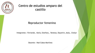 Centro de estudios amparo del
castillo
Reproductor femenino
Integrantes : Fernanda , Karla, Estefany , Vanessa, Dayanira ,Assly , Evelyn
Docente : Noé Cobos Martínez
 