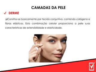✔ DERME
CAMADAS DA PELE
❑Constitui-se basicamente por tecido conjuntivo, contendo colágeno e
fibras elásticas. Esta combinação celular proporciona a pele suas
características de extensibilidade e elasticidade.
 