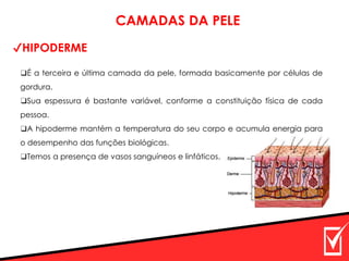 ❑É a terceira e última camada da pele, formada basicamente por células de
gordura.
❑Sua espessura é bastante variável, conforme a constituição física de cada
pessoa.
❑A hipoderme mantém a temperatura do seu corpo e acumula energia para
o desempenho das funções biológicas.
❑Temos a presença de vasos sanguíneos e linfáticos.
✔HIPODERME
CAMADAS DA PELE
 