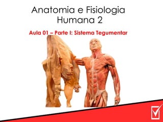 Anatomia e Fisiologia
Humana 2
Aula 01 – Parte I: Sistema Tegumentar
 