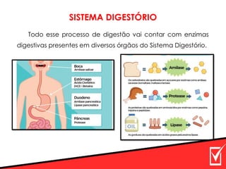 Todo esse processo de digestão vai contar com enzimas
digestivas presentes em diversos órgãos do Sistema Digestório.
SISTEMA DIGESTÓRIO
 