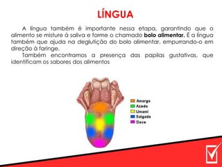 A língua também é importante nessa etapa, garantindo que o
alimento se misture à saliva e forme o chamado bolo alimentar. É a língua
também que ajuda na deglutição do bolo alimentar, empurrando-o em
direção à faringe.
Também encontramos a presença das papilas gustativas, que
identificam os sabores dos alimentos
LÍNGUA
 