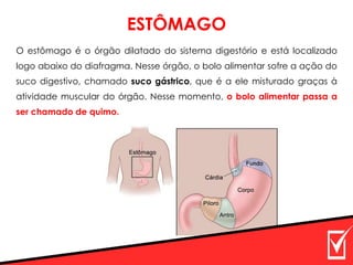 O estômago é o órgão dilatado do sistema digestório e está localizado
logo abaixo do diafragma. Nesse órgão, o bolo alimentar sofre a ação do
suco digestivo, chamado suco gástrico, que é a ele misturado graças à
atividade muscular do órgão. Nesse momento, o bolo alimentar passa a
ser chamado de quimo.
ESTÔMAGO
 
