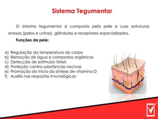 Sistema Tegumentar
O sistema tegumentar é composto pela pele e suas estruturas
anexas (pelos e unhas), glândulas e receptores especializados.
Funções da pele:
a) Regulação da temperatura do corpo
b) Remoção de água e compostos orgânicos
c) Detecção de estímulos táteis
d) Proteção contra substâncias nocivas
e) Promoção do início da síntese de vitamina D
f) Auxílio nas respostas imunológicas
 