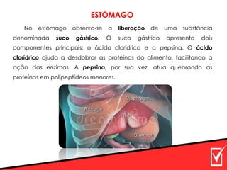 No estômago observa-se a liberação de uma substância
denominada suco gástrico. O suco gástrico apresenta dois
componentes principais: o ácido clorídrico e a pepsina. O ácido
clorídrico ajuda a desdobrar as proteínas do alimento, facilitando a
ação das enzimas. A pepsina, por sua vez, atua quebrando as
proteínas em polipeptídeos menores.
ESTÔMAGO
 