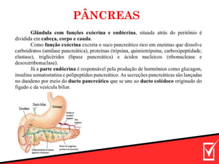 PÂNCREAS
 