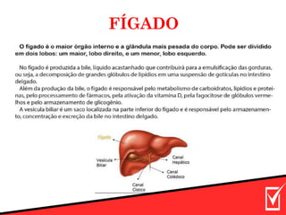 FÍGADO
 