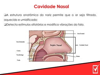 ❑A estrutura anatômica do nariz permite que o ar seja filtrado,
aquecido e umidificado;
❑Detecta estímulos olfatórios e modifica vibrações da fala.
Cavidade Nasal
 