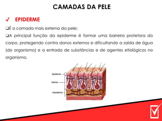 ✔ EPIDERME
CAMADAS DA PELE
❑É a camada mais externa da pele;
❑A principal função da epiderme é formar uma barreira protetora do
corpo, protegendo contra danos externos e dificultando a saída de água
(do organismo) e a entrada de substâncias e de agentes etiológicos no
organismo.
 
