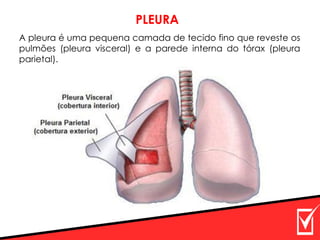 A pleura é uma pequena camada de tecido fino que reveste os
pulmões (pleura visceral) e a parede interna do tórax (pleura
parietal).
PLEURA
 