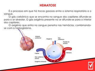 HEMATOSE
É o processo em que há trocas gasosas entre o sistema respiratório e o
sangue.
O gás carbônico que se encontra no sangue dos capilares difunde-se
para o ar alveolar. O gás oxigênio presente no ar difunde-se para o interior
dos capilares.
O oxigênio que entra no sangue penetra nas hemácias, combinando-
se com a hemoglobina.
 