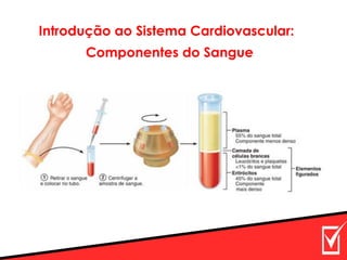 Introdução ao Sistema Cardiovascular:
Componentes do Sangue
 
