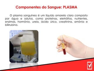 Componentes do Sangue: PLASMA
O plasma sanguíneo é um líquido amarelo claro composto
por água e solutos, como proteínas, eletrólitos, nutrientes,
enzimas, hormônio, ureia, ácido úrico, creatinina, amônia e
bilirrubina.
 