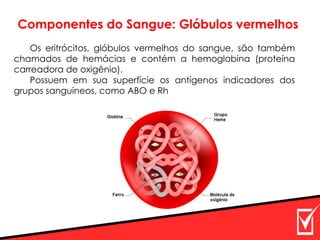 Componentes do Sangue: Glóbulos vermelhos
Os eritrócitos, glóbulos vermelhos do sangue, são também
chamados de hemácias e contém a hemoglobina (proteína
carreadora de oxigênio).
Possuem em sua superfície os antígenos indicadores dos
grupos sanguíneos, como ABO e Rh
 