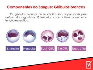 Componentes do Sangue: Glóbulos brancos
Os glóbulos brancos ou leucócitos são responsáveis pela
defesa do organismo. Entretanto, cada célula possui uma
função específica.
 