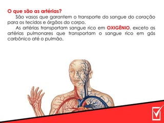 O que são as artérias?
São vasos que garantem o transporte do sangue do coração
para os tecidos e órgãos do corpo.
As artérias transportam sangue rico em OXIGÊNIO, exceto as
artérias pulmonares que transportam o sangue rico em gás
carbônico até o pulmão.
 