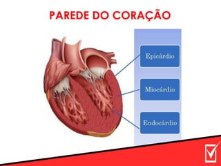 PAREDE DO CORAÇÃO
 