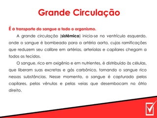 É o transporte do sangue a todo o organismo.
A grande circulação (sistêmica) inicia-se no ventrículo esquerdo,
onde o sangue é bombeado para a artéria aorta, cujas ramificações
que reduzem seu calibre em artérias, arteríolas e capilares chegam a
todos os tecidos.
O sangue, rico em oxigênio e em nutrientes, é distribuído às células,
que liberam suas excretas e gás carbônico, tornando o sangue rico
nessas substâncias. Nesse momento, o sangue é capturado pelos
capilares, pelas vênulas e pelas veias que desembocam no átrio
direito.
Grande Circulação
 