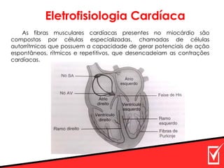 Eletrofisiologia Cardíaca
As fibras musculares cardíacas presentes no miocárdio são
compostas por células especializadas, chamadas de células
autorrítmicas que possuem a capacidade de gerar potenciais de ação
espontâneos, rítmicos e repetitivos, que desencadeiam as contrações
cardíacas.
 