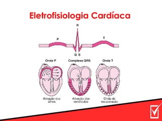 Eletrofisiologia Cardíaca
 