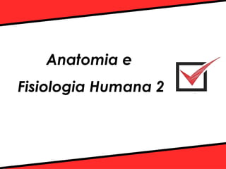 Anatomia e
Fisiologia Humana 2
 