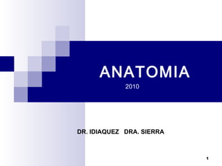 ANATOMIA
2010

DR. IDIAQUEZ DRA. SIERRA

1

 