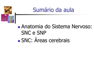Sumário da aula
 Anatomia do Sistema Nervoso:
SNC e SNP
 SNC: Áreas cerebrais
 