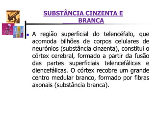  A região superficial do telencéfalo, que
acomoda bilhões de corpos celulares de
neurónios (substância cinzenta), constitui o
córtex cerebral, formado a partir da fusão
das partes superficiais telencefálicas e
diencefálicas. O córtex recobre um grande
centro medular branco, formado por fibras
axonais (substância branca).
SUBSTÂNCIA CINZENTA E
BRANCA
 