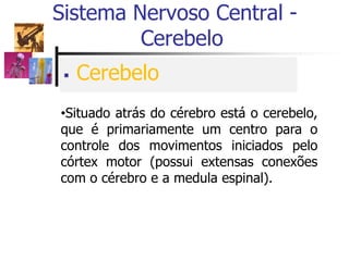  Cerebelo
Sistema Nervoso Central -
Cerebelo
•Situado atrás do cérebro está o cerebelo,
que é primariamente um centro para o
controle dos movimentos iniciados pelo
córtex motor (possui extensas conexões
com o cérebro e a medula espinal).
 