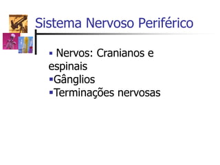 Sistema Nervoso Periférico
 Nervos: Cranianos e
espinais
Gânglios
Terminações nervosas
 