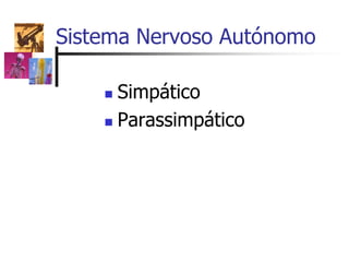 Sistema Nervoso Autónomo
 Simpático
 Parassimpático
 